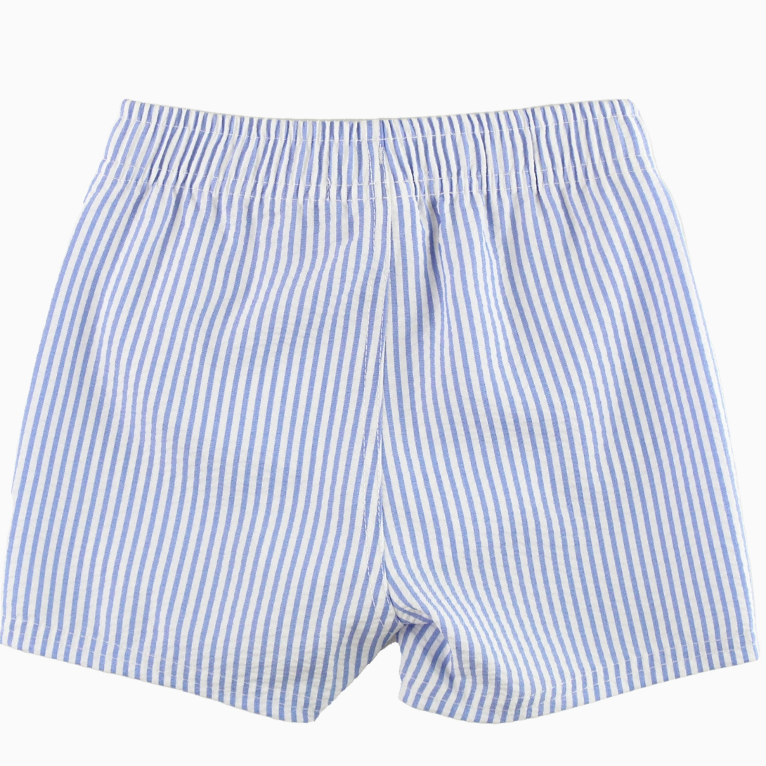 Stripe Swim Shorts